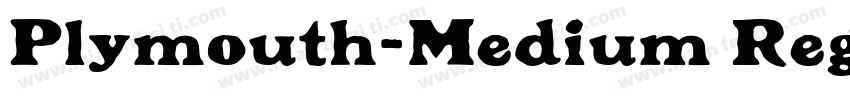 Plymouth-Medium Regu字体转换